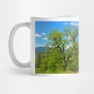 Valley Oak of Northern California Mug